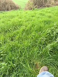 SoftAmjad webcam model stream image