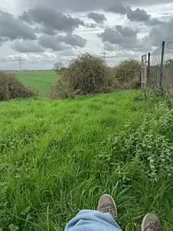 SoftAmjad webcam model stream image