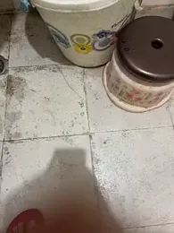 mightyythorrrr webcam model stream image