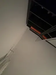 SophiiaStarr webcam model stream image