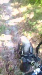 HANCOCK3333 webcam cam4 model stream image