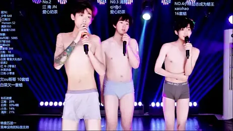 AOA-MIC webcam model stream image