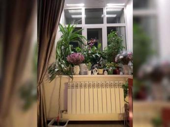 WednesdayFridayAddams webcam bongacams model stream image