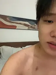 zcdda webcam model stream image