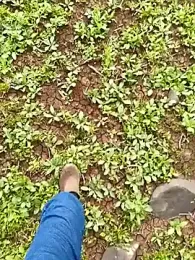 murokkk31 webcam model stream image