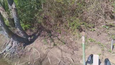 darksecret_Lar webcam model stream image