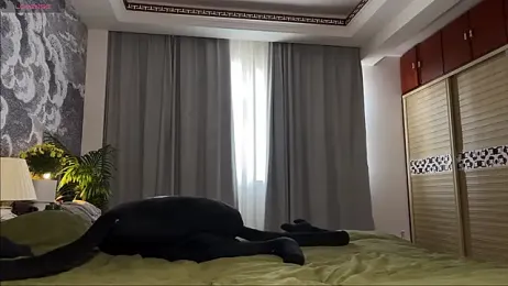 meowLili webcam model stream image