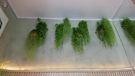 Lana_Lann webcam model stream image