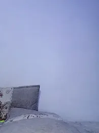 Bulletact webcam model stream image