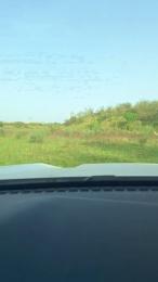 Gerontofilia webcam cam4 model stream image