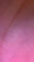 Mattihot5 webcam model stream image