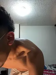 toritoga webcam model stream image