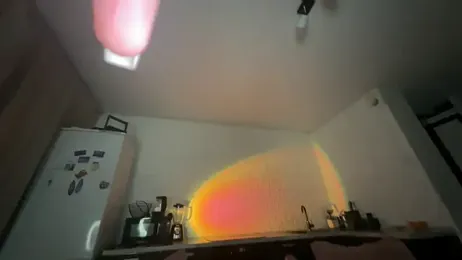 Al1ce_Fox webcam model stream image