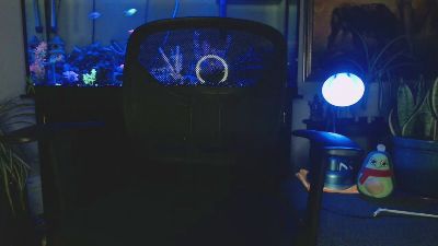 Latinlover513 webcam cam4 model stream image