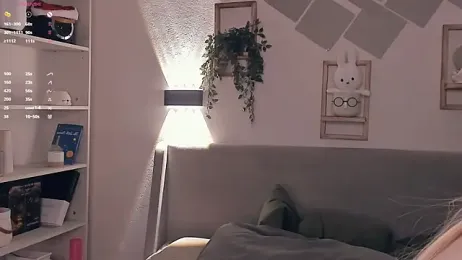 EvaSolisv webcam model stream image