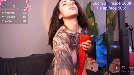EvaCanton webcam model stream image