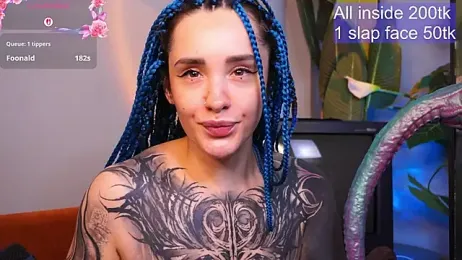 EvaCanton webcam model stream image