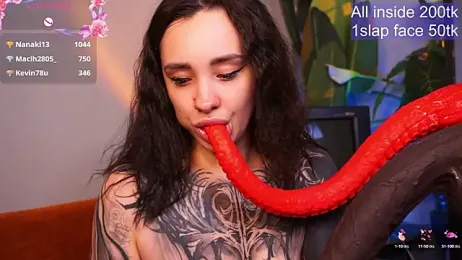 EvaCanton webcam model stream image