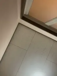 ippei0001 webcam model stream image