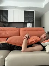 JdhdSjdj webcam model stream image