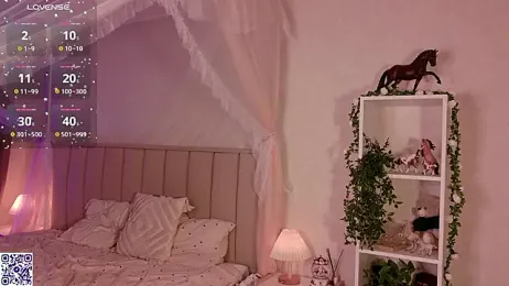 LeraKit webcam model stream image