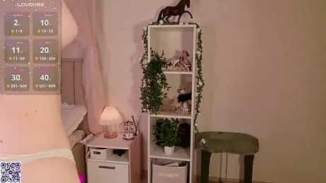 LeraKit webcam model stream image