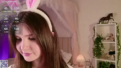 LeraKit webcam model stream image