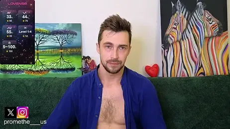 Promethe_us webcam model stream image