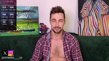 Promethe_us webcam model stream image