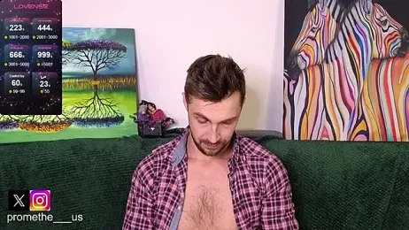 Promethe_us webcam model stream image