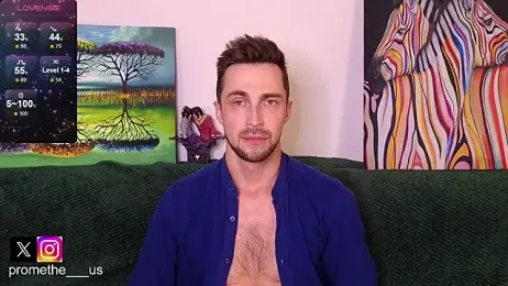 Promethe_us webcam model stream image