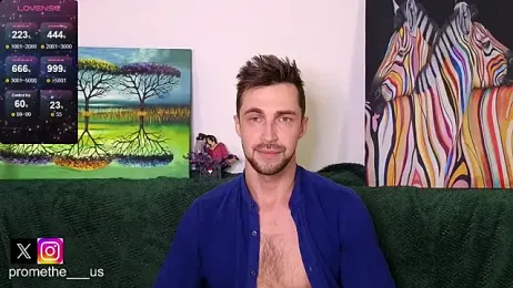 Promethe_us webcam model stream image