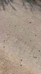 antrois86 webcam model stream image