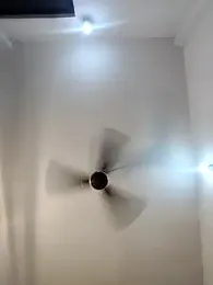 raniji-133 webcam model stream image