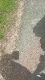GeilerSack65 webcam model stream image