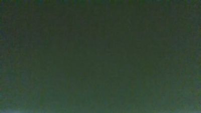 BIRDY1383 webcam model stream image