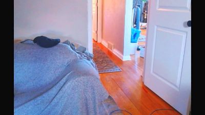 StudlyHardwood webcam model stream image