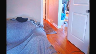 StudlyHardwood webcam model stream image