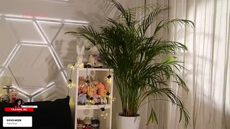 taanni_bc webcam stripchat model stream image