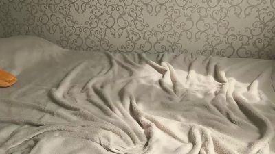ShenaBowlin webcam cam4 model stream image