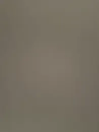 controlplay webcam model stream image