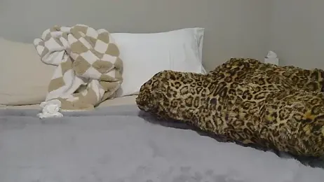 alex_callmemaybe webcam model stream image