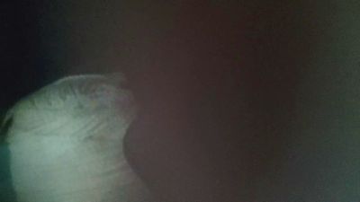 MarcYDeybis webcam cam4 model stream image