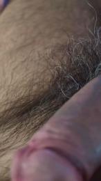 h0rny_bear webcam model stream image