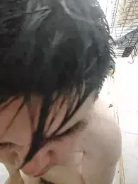 gscdc265 webcam model stream image