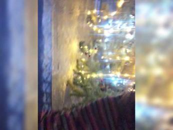 dbMagicdb webcam model stream image