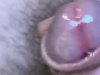 hey_arnold webcam chaturbate model stream image