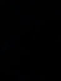 nide-laoshi webcam model stream image