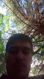 Fsst4 webcam model stream image