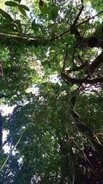 Fsst4 webcam cam4 model stream image